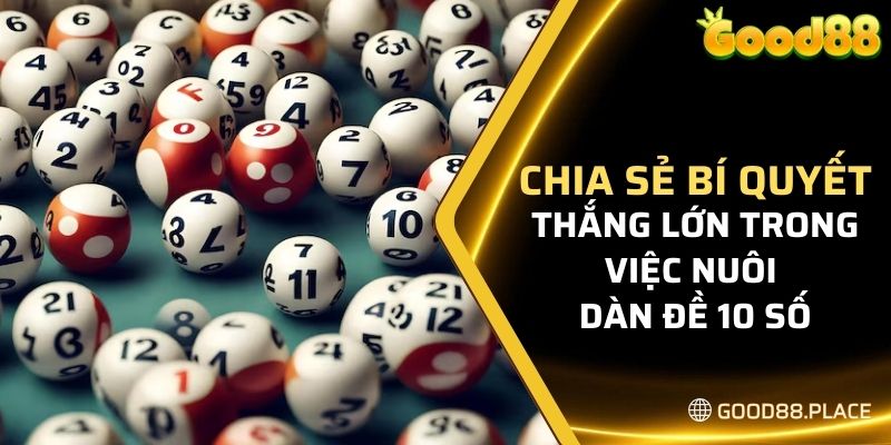 Chia sẻ bí quyết thắng lớn trong việc nuôi dàn đề 10 số