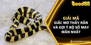 ý nghĩa của giải mã giấc mơ thấy rắn