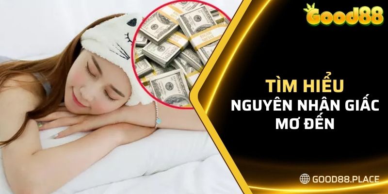 Tìm hiểu nguyên nhân giấc mơ đến với bạn